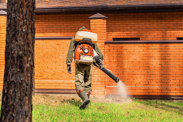 Trusted Fumigation Services service in Bella Vista, AR - Nex Pest Control